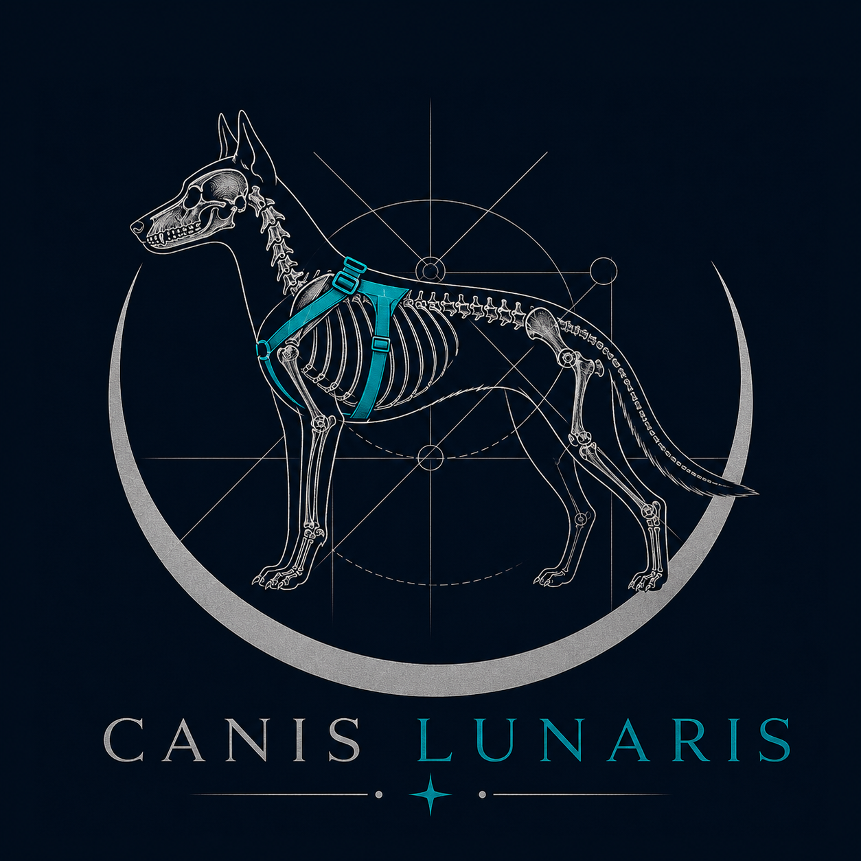 CANIS LUNARIS